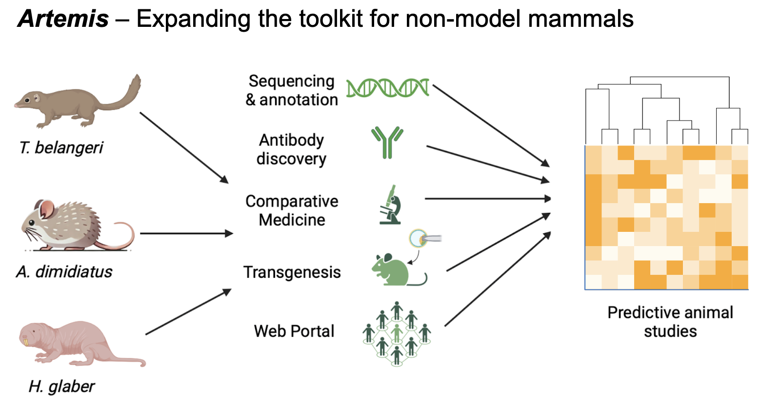 Descriptive alt text